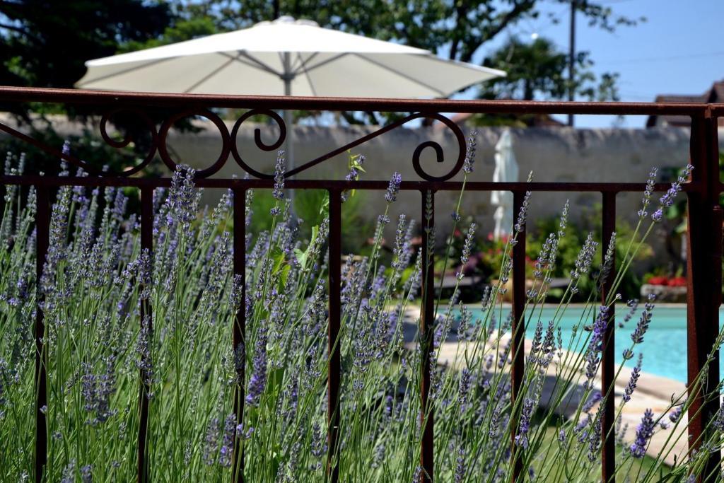 Bed and Breakfast La Baguenaude Marciac Exteriér fotografie